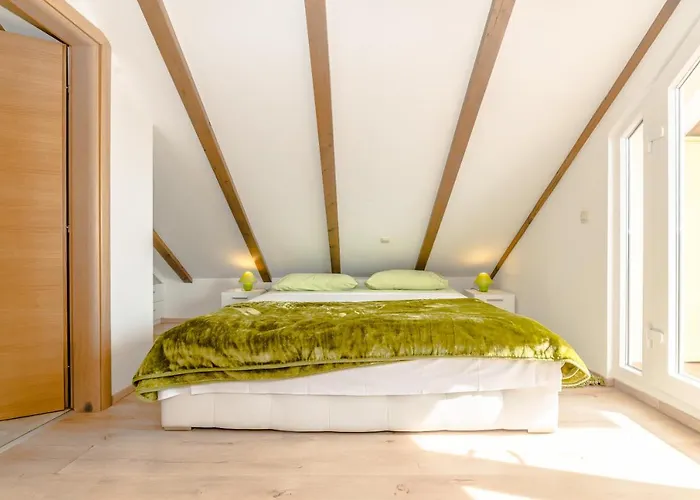 别墅 Rustic 扎达尔